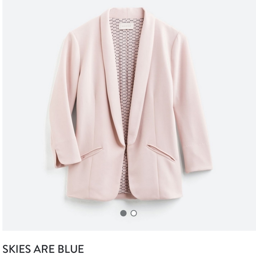 Skies Are Blue Stitch Fix Blush Blazer XL